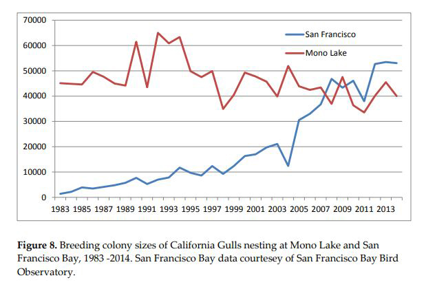 California Gull population at Mono Lake and the San Francisco Bay.